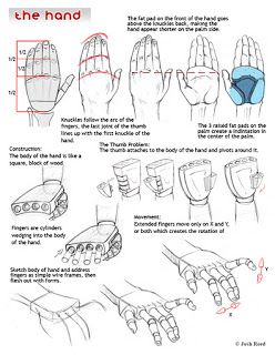 The Tutorials of Drawsh* • Blog/Website | (www.drawsh.com) • Online Store (http://www.drawsh.com/p/recommended-resources.html)   ★ || CHARACTER DESIGN REFERENCES (https://www.facebook.com/CharacterDesignReferences & https://www.pinterest.com/characterdesigh) • Love Character Design? Join the Character Design Challenge (link→ https://www.facebook.com/groups/CharacterDesignChallenge) Share your unique vision of a theme, promote your art in a community of over 25.000 artists! || ★ Hand Atonamy, Hand Anatomy Drawing Study, Hand Anatomy Study, Hand Proportions, Human Hand Anatomy, Hand Anatomy Drawing, Hand Drawing Tutorial, Hands Anatomy, Hand Construction