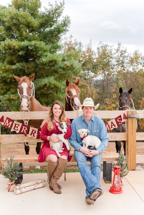 Ranch Christmas Photoshoot, Christmas Photos With Horses, Western Christmas Pictures Family, Barn Christmas Photoshoot, Alpaca Photoshoot, Western Christmas Photoshoot, Photoshoot Mountains, Outdoor Christmas Photos, Horses Christmas