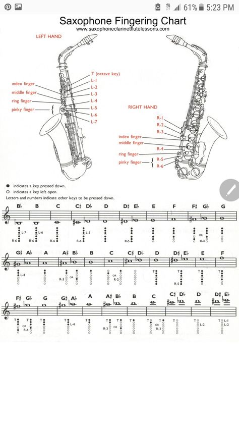 Alto Saxophone Fingering Chart, Saxophone Notes, Alto Saxophone Music, Saxophone Fingering Chart, Alto Sax Sheet Music, Flute Lessons, Alto Saxophone Sheet Music, Alto Clarinet, Baritone Saxophone