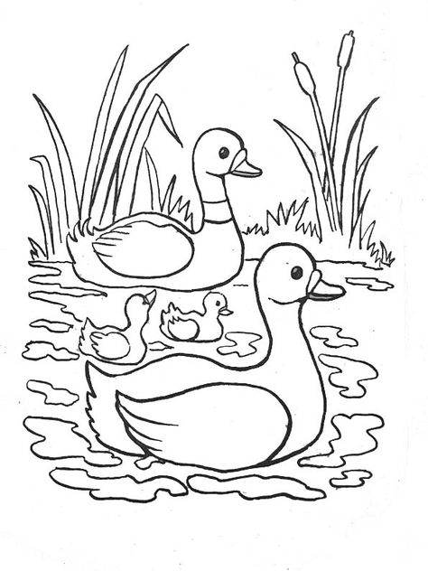 Coloring page: River (Nature) #159321 - Printable coloring pages Duck Coloring Pages Free Printable, Duck Coloring Pages, Pond Drawing, Airplane Coloring Pages, Duck Pictures, Duck Pins, Preschool Coloring Pages, Cat Coloring Book, Coloring Supplies