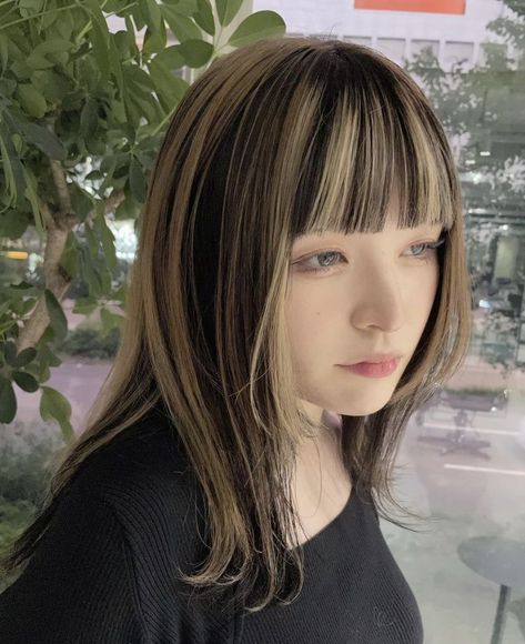 Cold Hair Color Ideas, Hair Highlights With Bangs, Skunk Hair Short, Skunk Hair, Korean Hair Color, Creative Hair Color, Hair Color Streaks, Hair Streaks, Pretty Hair Color