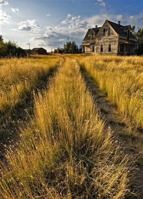 Old Outhouse, Abandoned Farmhouse, Abandoned Farm, American Gothic, Old Farmhouse, House Landscape, Farm Yard, Abandoned Houses, Abandoned Places