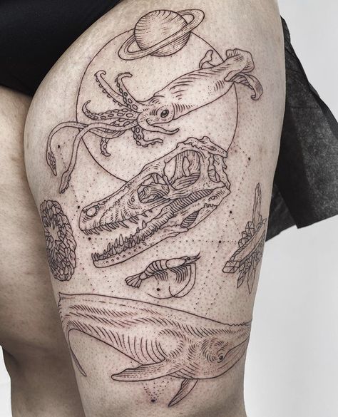 Museum Tattoo, History Tattoos, Amazing Tattoos, Dainty Tattoos, Natural History Museum, Blue Whale, Tattoo Inspo, History Museum, Pretty Tattoos