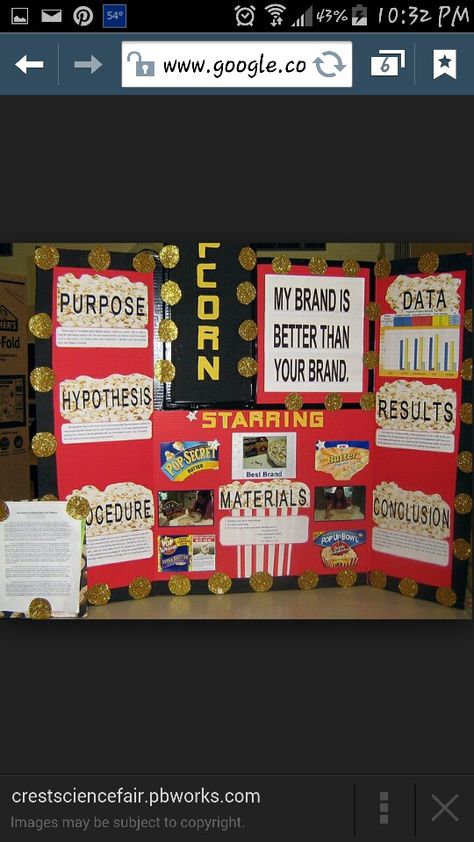 . Popcorn Science Project, Popcorn Science Fair Project, Popcorn Science, Science Fair Board, Project Science, Science Fair Projects Boards, Science Fair Project, Science Boards, 4th Grade Science