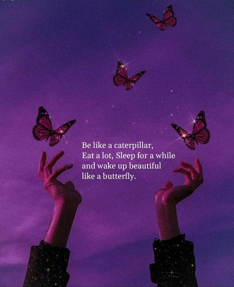 Butterfly Purple Aesthetic, Good Night Pic, Nighttime Aesthetic, Night Pic, Understanding Quotes, Butterfly Purple, Purple Quotes, Imagination Quotes, Aesthetics Quote