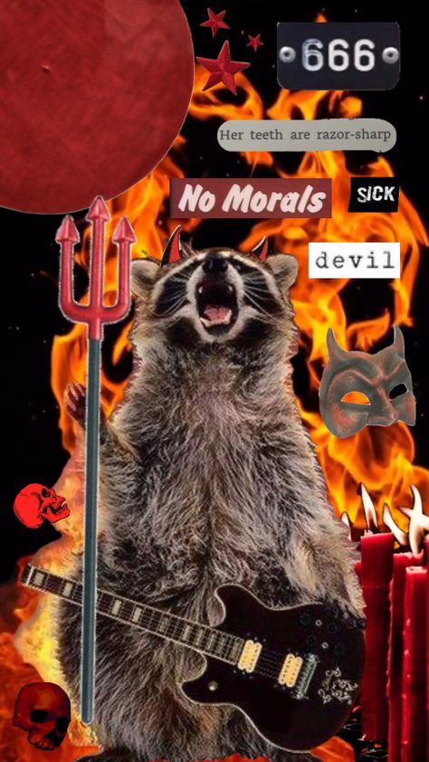 #devil #red #raccoon #mean Wallpaper Backgrounds Panda, Raccoon Desktop Wallpaper, Raccoon Phone Wallpaper, Chaotic Wallpaper Aesthetic, Raccoon Aesthetic Wallpaper, Raccoon Collage, Raccoon Background, Raccoon Wallpaper Iphone, Racoon Wallpaper