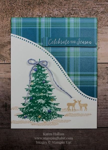 Mary Fish, Stamped Christmas Cards, Winter Woods, Wood Card, Homemade Christmas Cards, Stampin Up Christmas Cards, Christmas Tree Cards, Christmas Card Crafts, Winter Wood