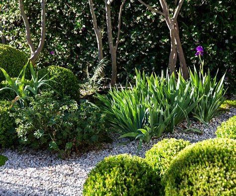 Small Garden Design By Peter Fudge Gardens Peter Fudge, Halloween Pumpkin Carving Ideas, Suburban Garden, Halloween Pumpkin Carving, Gravel Path, Pumpkin Carving Ideas, Gravel Garden, Blank Slate, Coastal Gardens