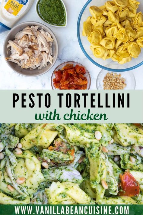 Tortillini Salad, Pesto Tortellini Salad, Lemon Pesto Chicken, Chicken Pesto Pasta Salad, Creamy Pesto Sauce, Can Chicken Recipes, Lemon Pesto, Pesto Tortellini, Pesto Salad