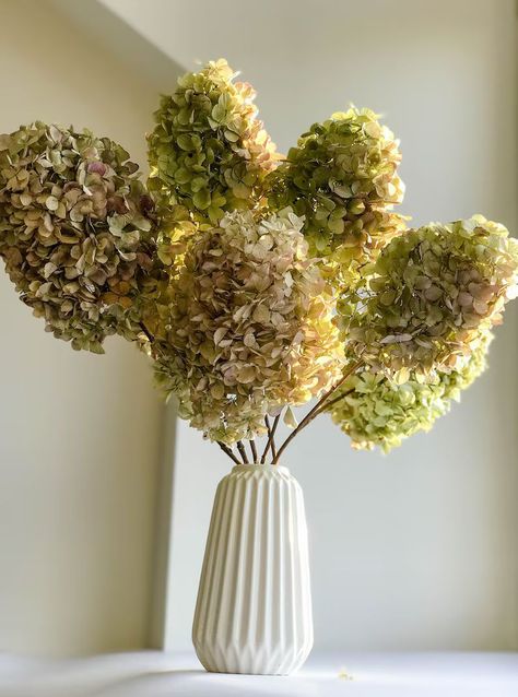 Preserved Flowers Bouquet, Hydrangea Bridal Bouquet, Dried Arrangements, Pink Flower Bouquet, Preserved Hydrangea, Hydrangea Bush, Dried Hydrangeas, Hydrangea Bouquet, Everlasting Flowers