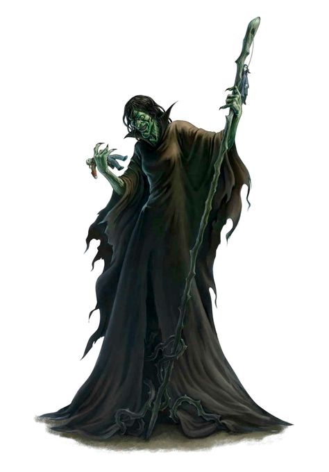 Green Hag, Magic Artifacts, Halloween Craft Projects, Savage Worlds, D D Monsters, Rpg Characters, Dnd Monsters, Dungeons And Dragons Characters, D&d Dungeons And Dragons