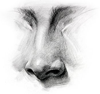 Nose Drawing, How to Draw a Nose - How to Draw Noses - Step by Step, -tutorial  with thanks to proko, How to draw Face, Resources for Art Students , CAPI ::: Create Art Portfolio Ideas at milliande.com, Art School Portfolio Work Art School Portfolio, How To Draw A Nose, Draw A Nose, Portrait Au Crayon, Drawing Charcoal, 얼굴 드로잉, Drawing Tutorials For Beginners, Charcoal Pencil, Nose Drawing