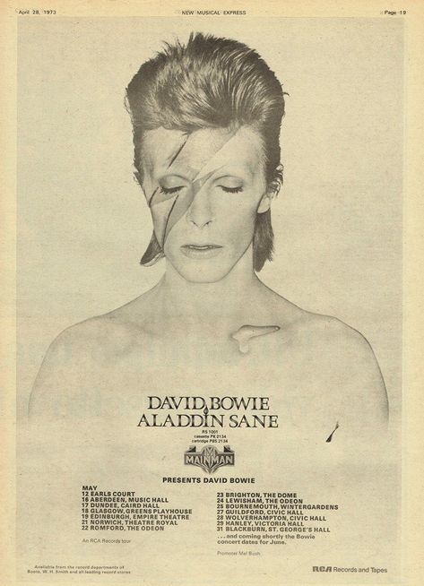 David Bowey, Davey Jones, Bowie Poster, David Bowie Poster, Mick Ronson, David Bowie Ziggy, Aladdin Sane, Ziggy Stardust, Record Sleeves