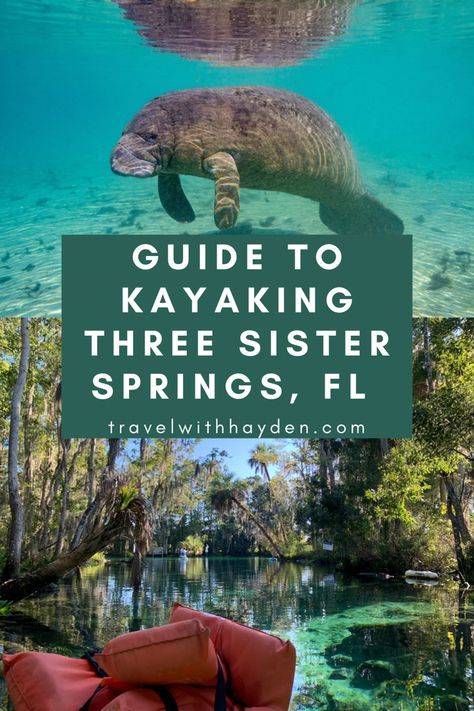 Three Sister Springs in Crystal River, Florida is a must visit when in the area. The springs are gorgeous and you can see lots of wildlife including manatees. Check out this full guide to kayaking in Three Sisters Springs! Three Sisters Springs Florida, Ginnie Springs Florida, Dunnellon Florida, Springs In Florida, Ginnie Springs, Blue Springs State Park, Ocala National Forest, Rainbow River, Rainbow Springs