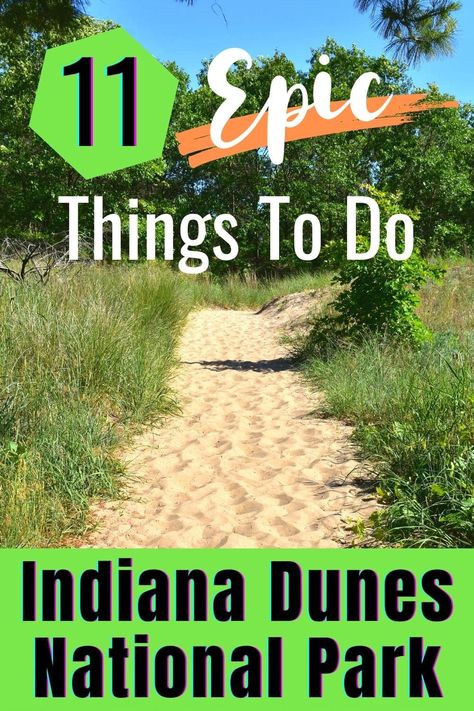 How to Spend One Day at Indiana Dunes National Park + Itinerary Indiana Vacation, Hammond Indiana, Indiana Dunes State Park, Indiana Dunes National Park, National Park Itinerary, Indiana Travel, Indiana Dunes, Sand Dunes National Park, Lake Trip