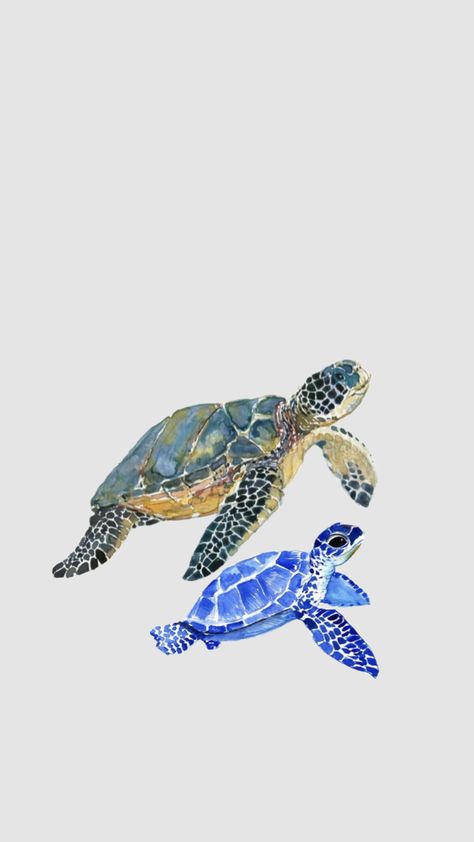 Summer Prints Wallpaper, Cute Backrounds, Beachy Wallpapers, Summer Beach Wallpaper, Turtle Wallpaper, Beach Wall Collage, Cute Summer Wallpapers, Cute Blue Wallpaper, Wallpaper Iphone Summer