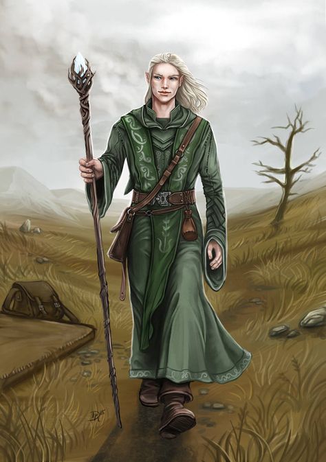 Elf Wizard, Dnd Druid, Dnd Elves, Male Elf, Half Elf, Elf Characters, Elf Druid, Illustration Fantasy, Fantasy Wizard