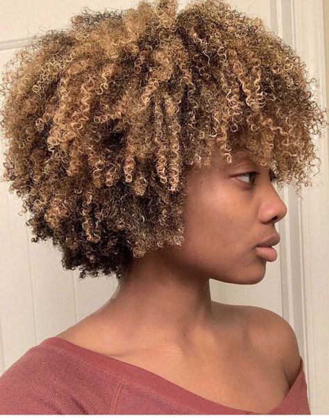 Look at the curl definition Honey Blonde 4b Natural Hair, Blonde Type 4 Natural Hair, Natural Hair Blonde Highlights, 4c Hair Color Ideas, Natural Hair Highlights, Hair Color For Brown Skin, Curly Afro Hair, Blonde Natural Hair, Highlights Curly Hair