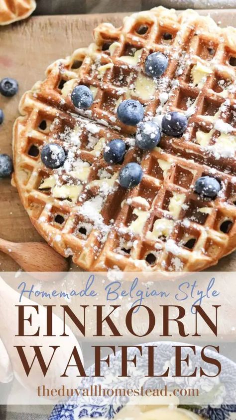 Ancient Grains Recipes, Einkorn Bread, Einkorn Recipes, Trim Healthy Recipes, Einkorn Flour, Waffle Recipe, Grain Foods, Sourdough Recipes, Waffle Recipes