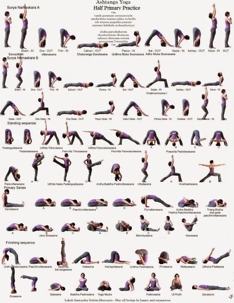 Ashtanga Yoga Poses, Ashtanga Yoga Primary Series, Hata Yoga, Yoga Flow Sequence, Yoga Series, Yoga Ashtanga, Ashtanga Vinyasa Yoga, Latihan Yoga, Beginner Yoga