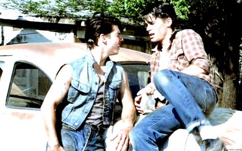 ..... Outsiders Steve, The Outsiders Steve, Steve Randle, Sodapop Curtis, Outsiders Imagines, Imagines Tumblr, The Outsiders Imagines, Outsiders Movie, The Outsiders Greasers