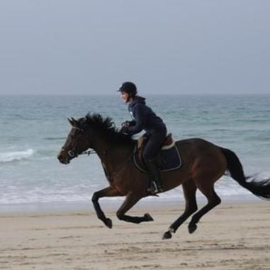 gallop Horse Galloping With Rider, Galloping Horse And Rider, Equestrian Photography, Beach Rides, Galloping Horse, Big Hearts, Horse Galloping, Horse And Rider, English Riding