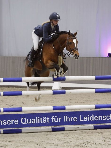 Bay Pony, Welsh Pony, Horse Aesthetic, Show Jumping, Starling, Horses, White