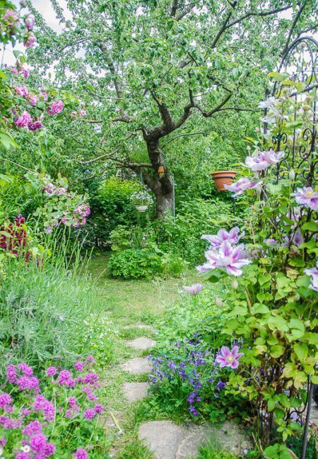 Herb Garden Design, Cottage Garden Design, Cottage Garden Plants, Have Inspiration, Creative Gardening, Vegetable Garden Design, Garden Trees, Garden Cottage, English Garden