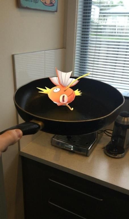 Just cooking my Magikarp, you know, the usual... Funny Pokemon Go, Team Mystic, Mega Pokemon, Pokemon Gif, Play Pokemon, Pokemon Memes, Pokemon Funny, All Pokemon, My Pokemon