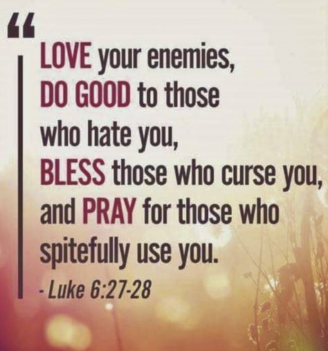 Luke 6 27 28, Luke 6 35, Positive Quotes Success, Matthew 5 44, Luke 6, Abba Father, God Forgives, Living Photo, Love Your Enemies