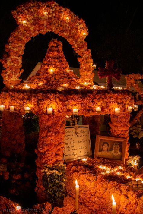 Is Patzcuaro Lake the Most Amazing Dia de Muertos in Mexico? in Mexico Fall In Mexico, Withering Rose, Decoraciones Aesthetic, Day Of The Dead Altar, Maya And The Three, Dia De Los Muertos Decorations Ideas, Speedy Gonzales, Smell Of Rain, Home Studio Photography