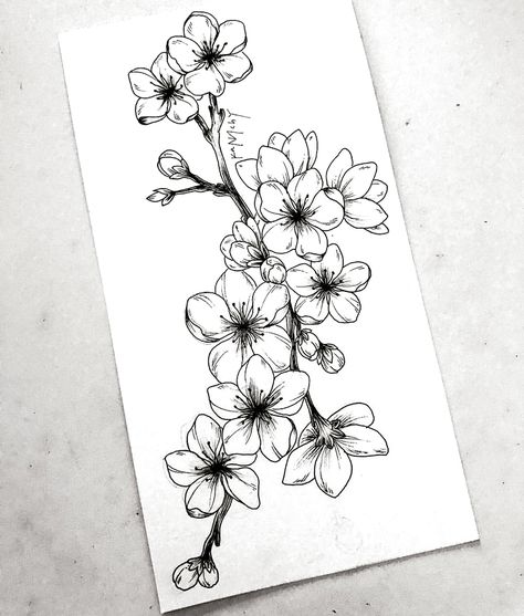 Learn To Draw A Realistic Rose - #cherryblossom #Draw #learn #realistic #Rose - #cherryblossom  #cherryblossom #learn #Pencilart #realistic Realistic Flower Drawing, Cute Flower Drawing, Kunst Tattoos, Beautiful Flower Drawings, Realistic Rose, Seni Vintage, Flower Art Drawing, Blossom Tattoo, Simple Tattoo