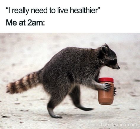 Funny Exercise, Diet Meme, Diet Humor, Funny Sports Memes, Food Memes, Bodybuilding Diet, Fit Food, Workout Style, Trash Panda