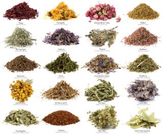 Magia Das Ervas, Magical Herbs, Types Of Tea, Spices And Herbs, Healing Herbs, Medicinal Herbs, Health Facts, Herbal Medicine, Herbal Tea