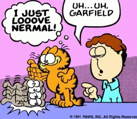 Fat Orange Cat, Garfield Christmas, Garfield Pictures, Garfield Cartoon, Garfield Images, I Hate Mondays, Garfield Cat, Garfield And Odie, Garfield Comics