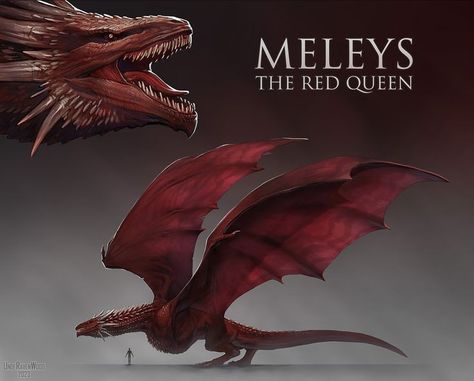 House of dragon Meleys The Red Queen, Dragon Concept, The Red Queen, Dragon House, Game Of Thrones Dragons, Got Dragons, Fantasy Animals, Targaryen Art, Dragon Artwork Fantasy