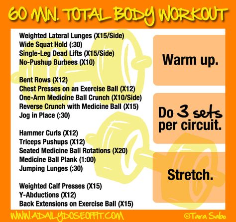 Work your entire body in 60 minutes with this circuit-based workout. Bootcamp Workout Plan, Body Pump Workout, Partner Workouts, Plyo Workouts, Bootcamp Workout, Circuit Workouts, Group Exercise, Gym Exercises, Reverse Crunches