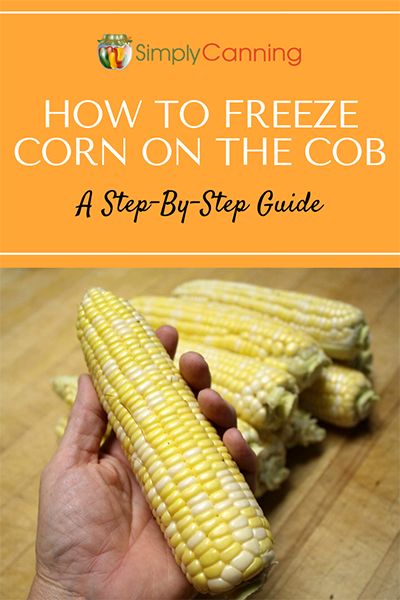 Freezing Fresh Corn, Harvest Herbs, Dehydrating Recipes, Freezing Corn, Canning Corn, Kitchen Secrets, Freezing Vegetables, Canning Sweet Corn, Freezing Food