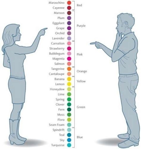 Picking out colors | Community Post: The Difference Between Men And Women According To Google Lukisan Fesyen, Artist Problems, 밈 유머, Fashion Vocabulary, Buku Skrap, Man Vs, صور مضحكة, Homestuck, Color Theory