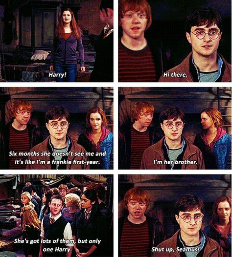 Harry And Ginny, Cărți Harry Potter, Harry Potter Jokes, Harry Potter Quotes, Harry Potter Love, Harry Potter Obsession, Wizarding World Of Harry Potter, Mischief Managed, Harry Potter Fantastic Beasts