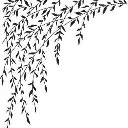 Black & White Weeping Willow Tree Branches Leaves Throw Pillow Willow Tree Branch Drawing, Willow Leaves Drawing, Willow Tree Leaves Tattoo, Willow Tree Silhouette, Weeping Willow Tree Drawing, Willow Tree Branch Tattoo, Willow Branch Tattoo, Willow Drawing, Willow Tree Drawing