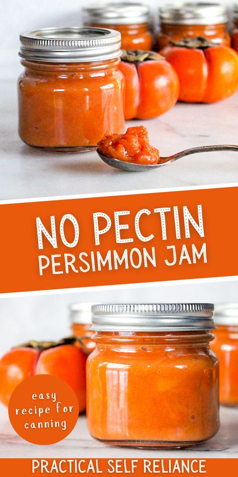 Recipes For Persimmons, Persimmon Jam Recipe Canning, Preserving Persimmons, Canning Persimmons, Persimmon Butter Recipe, Persimmon Recipes Pudding, Persimmon Jam Recipe No Pectin, Persimmon Vinegar, Canning Persimmon Pulp