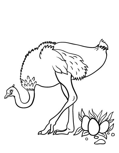 Printable ostrich coloring page. Free PDF download at http://coloringcafe.com/coloring-pages/ostrich/. Eggs Coloring Pages, Egg Coloring Page, Animal Templates, Wood Burning Patterns, Animal Coloring, Free Printable Coloring, Animal Coloring Pages, Free Printable Coloring Pages, Holiday Themes