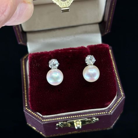 Pearls and Diamonds are such an elegant combination. These stud earrings are from circa 1920’s, and they are set with 7.7mm Akoya Pearls sitting snuggly below claw set round brilliant cut Diamonds, totalling 0.44ct, set in 18K white gold. The lustre on the Akoya Pearls is really beautiful. DM us for enquiries 🐚 * Please note items over $5K are ‘pick up in store’. Sales items do not include resizing nor postage. ______________________________________ #antiquejewellery #ringsofinstagra... Akoya Pearls, Antique Jewellery, Round Brilliant Cut Diamond, Round Brilliant, Pick Up, In Store, Diamonds, White Gold, Stud Earrings