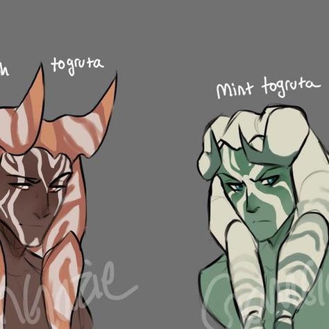 🪑 Derek 🪑 on Instagram: "🚫CLOSED🚫 ✨ Togruta Adopts ✨ - I decided to make some simple Togruta adopts as I simply find them very fun to draw 👀👀 ⚠️INFO⚠️ 🔆First Come First Serve🔆 They’re $6 each, Comment to claim. Payment through PayPal only Peach: CLAIMED🔆 Mint: CLAIMED 🔆 Violet: CLAIMED🔆 - - #starwars #starwarsadopt #starwarsoc #togrutaoc #togrutaadopt #starwarsart #adopt #openadopt #adoptsbles" Star Wars Hybrid Oc, Togruta Art, Star Wars Ocs, Togruta Oc, Togruta Character Design, Star Wars Species Art, Star Wars Species Hybrid, Ffg Star Wars, Star Wars Oc Togruta