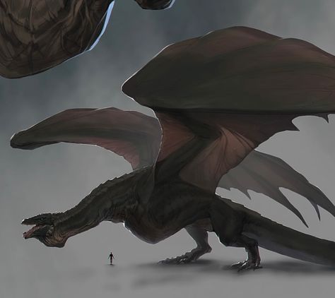 Vhagar Dragon, Elven City, Dragon House, Game Of Thrones Dragons, Shadow Dragon, Got Dragons, Mythical Dragons, Dragon Tales, Targaryen Art