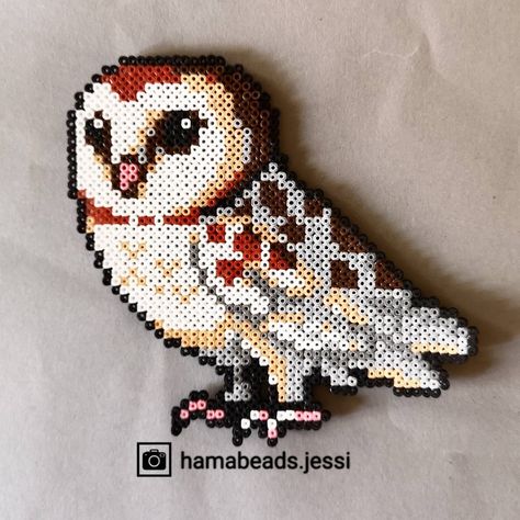 Perler Bead Maple Leaf, Sea Otter Perler Beads, Hama Beads Squirrel, Perler Bead Animal Patterns, Lotr Perler Beads, Owl Perler Beads, Hama Beads Animals, Modele Pixel Art, Hamma Beads Ideas