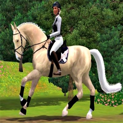 Sims 3 Horses, Sims 3 Generations, The Sims 3 Pets, Egyptian Furniture, Horse Age, Sims Pets, 3 Horses, Mod Decor, Type Tattoo