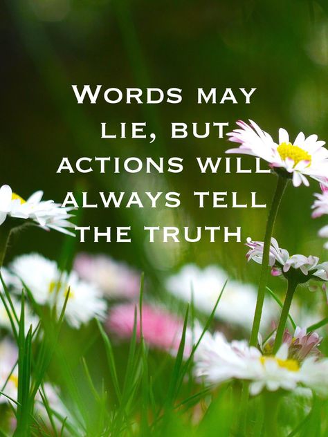 Words may lie but actions will always tell the truth!! #words #lie #actions #tell #truth Always Tell The Truth, Actions Speak Louder Than Words, Actions Speak Louder, Positive Mood, Tell The Truth, Positive Energy, The Truth, Gratitude, Positive Quotes