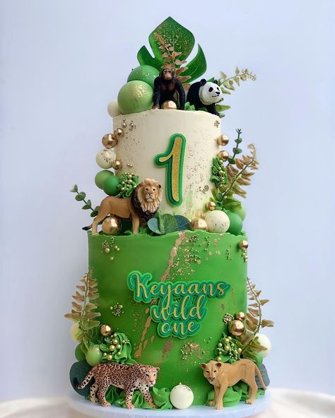 Jungle Safari Cake, Jungle Birthday Cakes, Jungle Theme Cakes, Tiger Cake, Safari Cake, Animal Theme Birthday, Tiered Cakes Birthday, Animal Birthday Cakes, Rainbow Birthday Cake